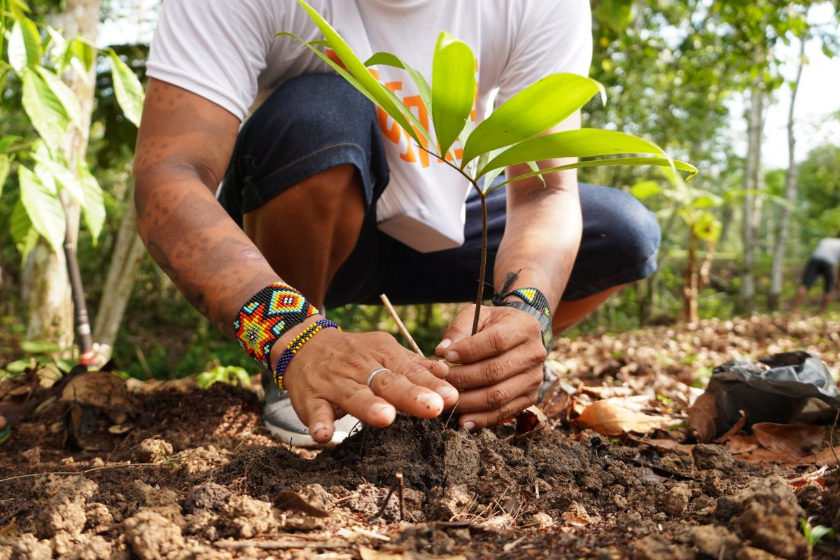 Como o Turismo Sustentável está transformando a vida de comunidades tradicionais brasileiras!