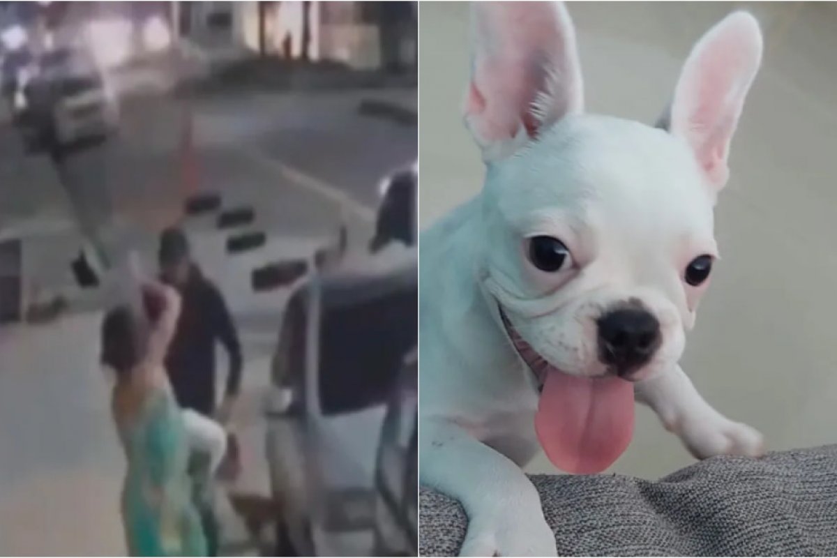 Salvador: mulher é abordada por homem com faca e tem cadela roubada em Monte Serrat