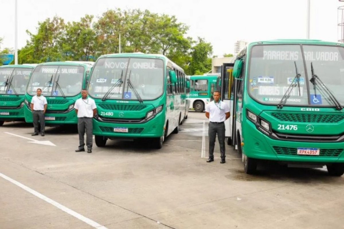 Salvador recebe primeiros micro-ônibus com ar condicionado