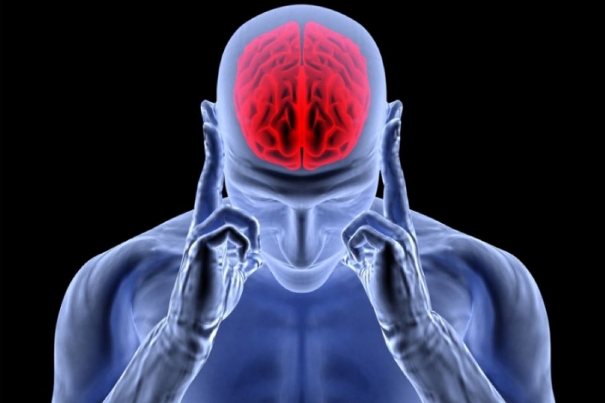 Estudo indica que utilizar muito o cérebro pode diminuir tempo de vida