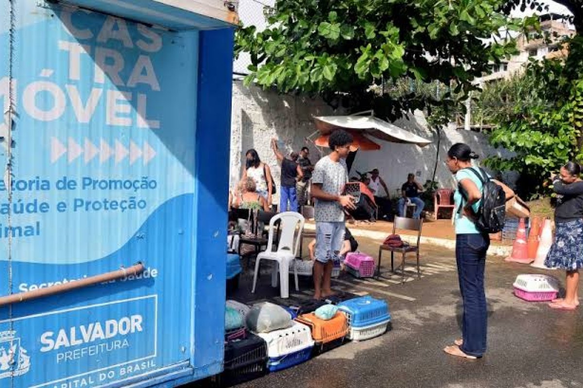 Cadelas e gatas serão atendidas pelo Castramóvel em ação do Outubro Rosa