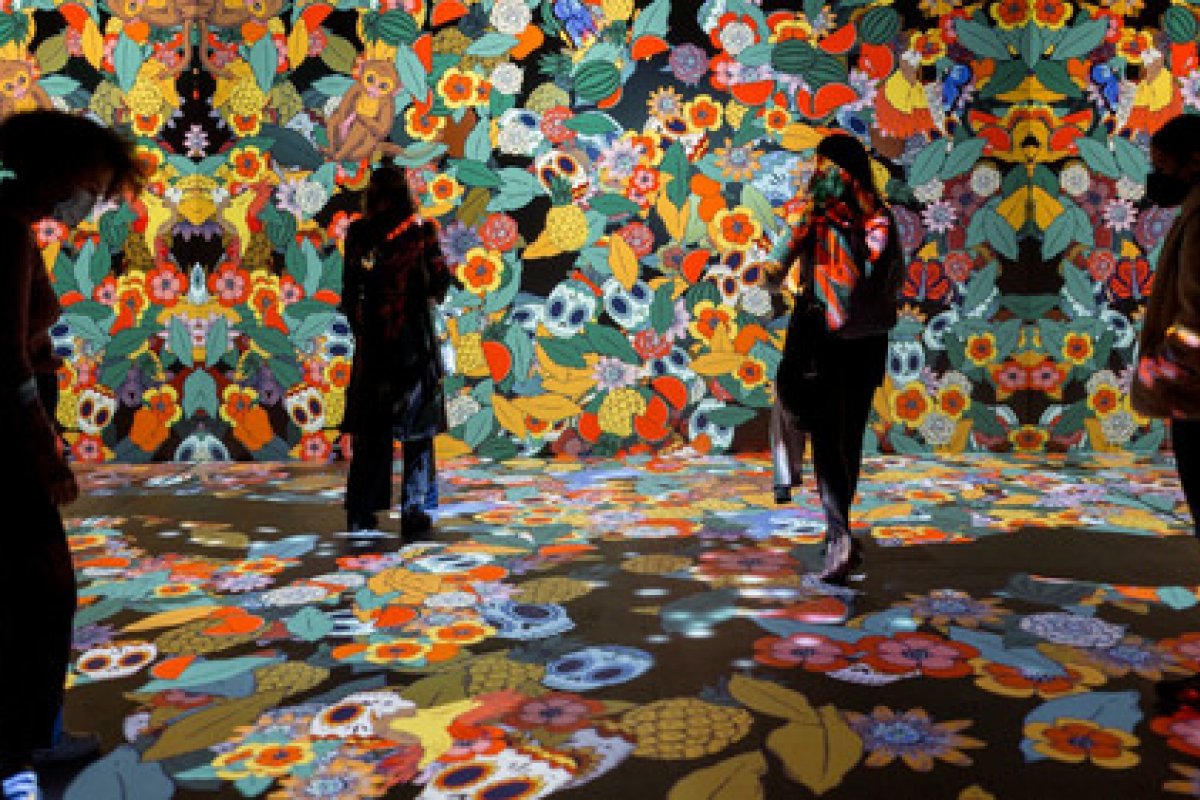 Exposição interativa retrata como Frida Kahlo transformou sofrimento em arte; confira