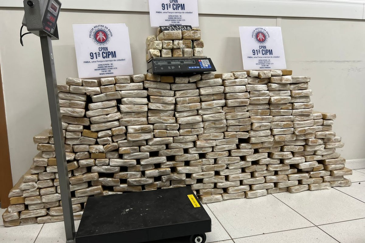 Vídeo: PM e PC apreendem 273 quilos de maconha em Capim Grosso