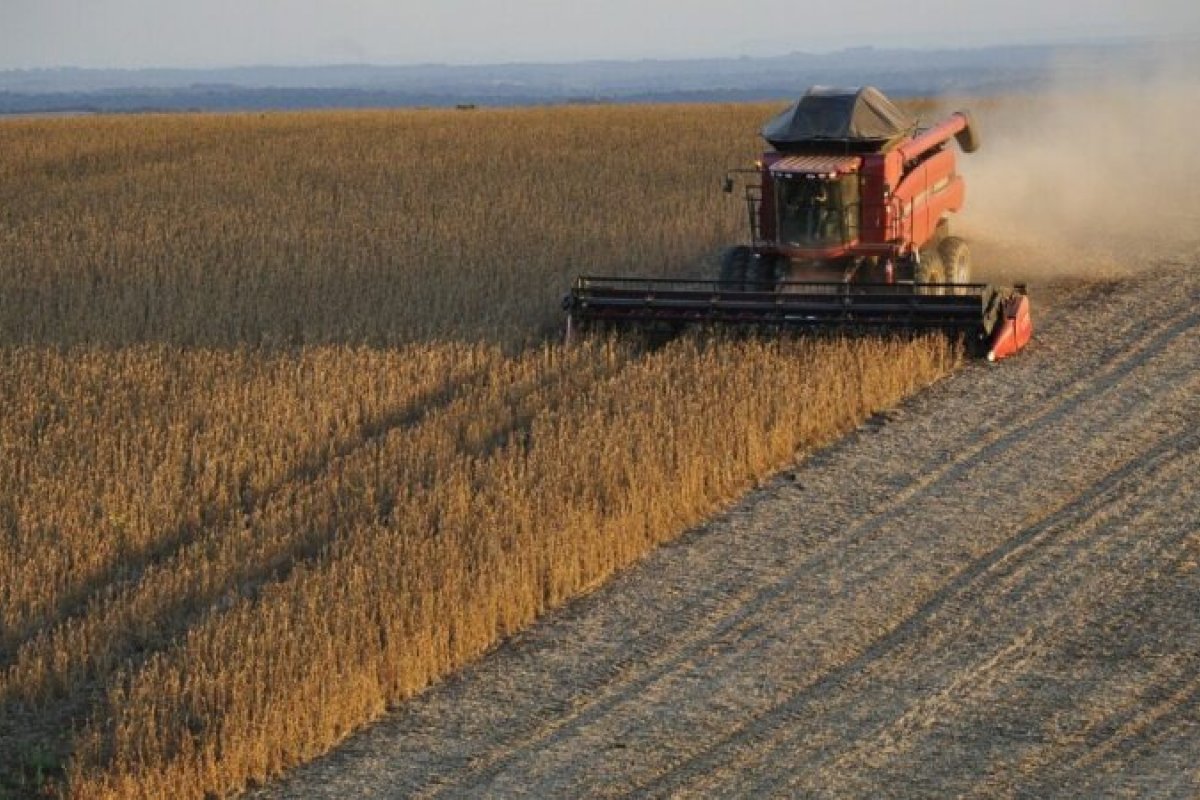 Agropecuária gera mais de nove mil vagas em setembro, diz Novo Caged