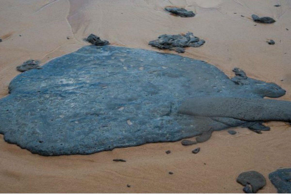 UFBA encontra solução para reduzir poluição das manchas de óleo