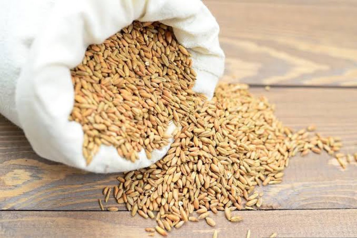 Rússia retoma acordo para exportação de grãos da Ucrânia