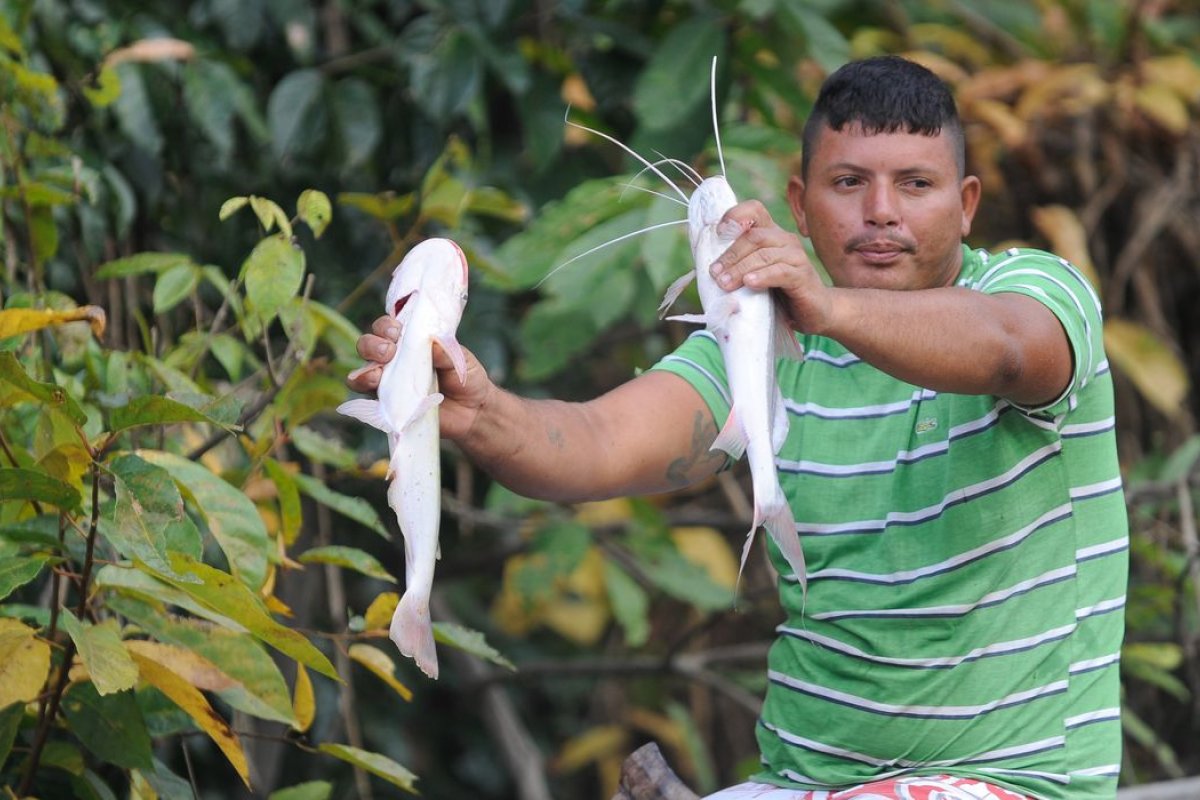 Seguro-Desemprego Pescador Artesanal vai pagar parcelas de R$1.212