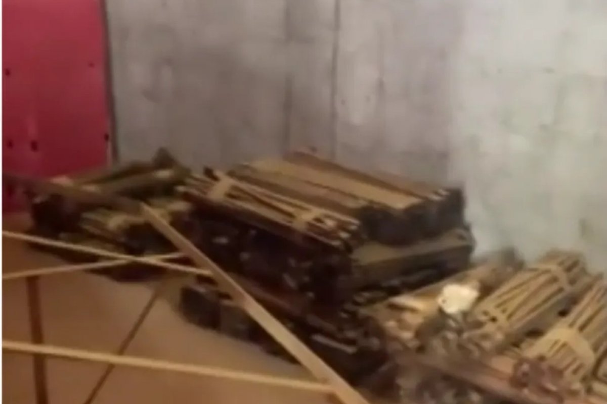 PF cumpre mandados de busca e apreensão contra exploração ilegal de Pau-brasil no sul da Bahia