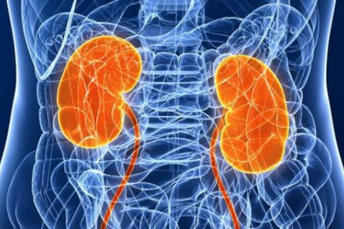 Doença crônica dos rins será a 5ª maior causa de morte do mundo em 2040, estima SBN