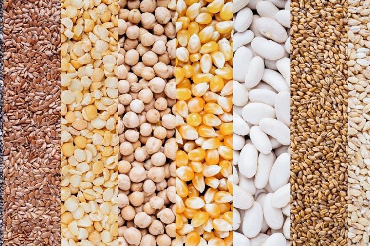 IBGE estima queda de 10,7% na safra de grãos na Bahia