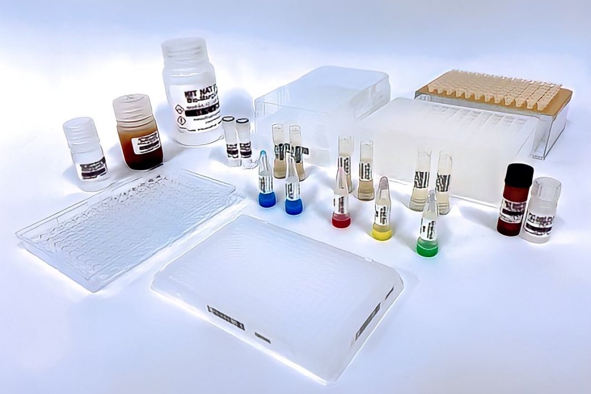 Fiocruz inicia implantação de kits que detectam malária em bolsas de sangue