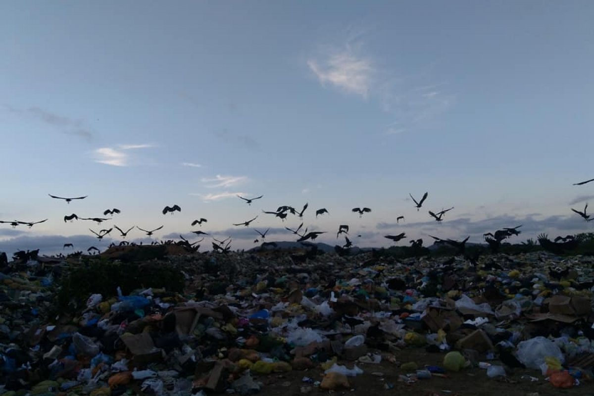 Justiça determina fim do “lixão” de Presidente Tancredo Neves, na Bahia