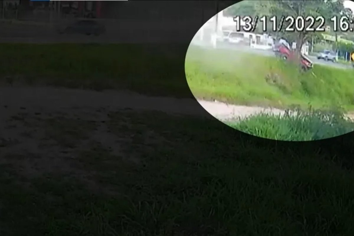 Motorista de caminhonete morre após veículo bater em árvore no sul da Bahia