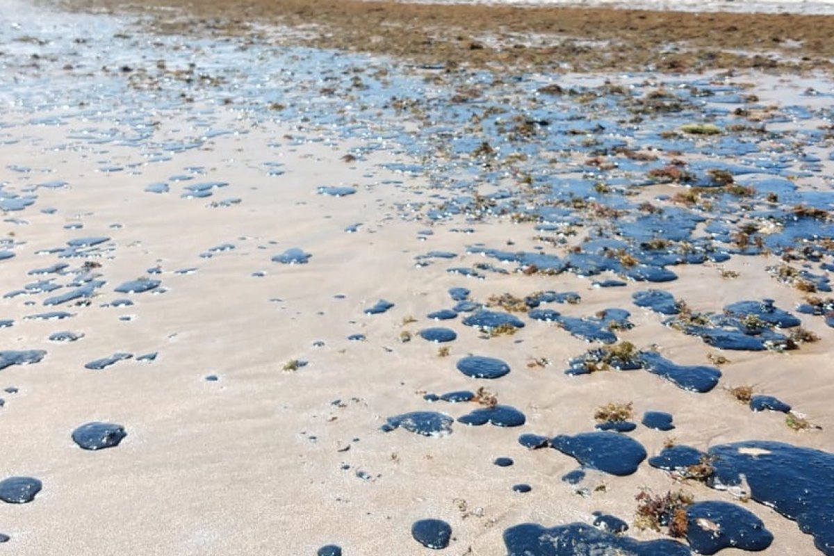 Sobe para 675 as localidades afetadas pelo derramamento de óleo