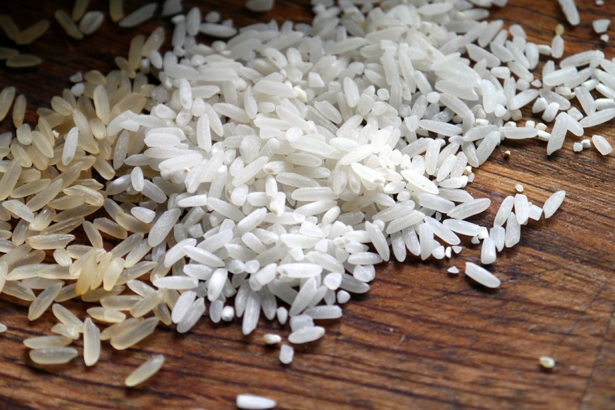Exportação de Arroz atinge 1,7 milhão de toneladas em outubro