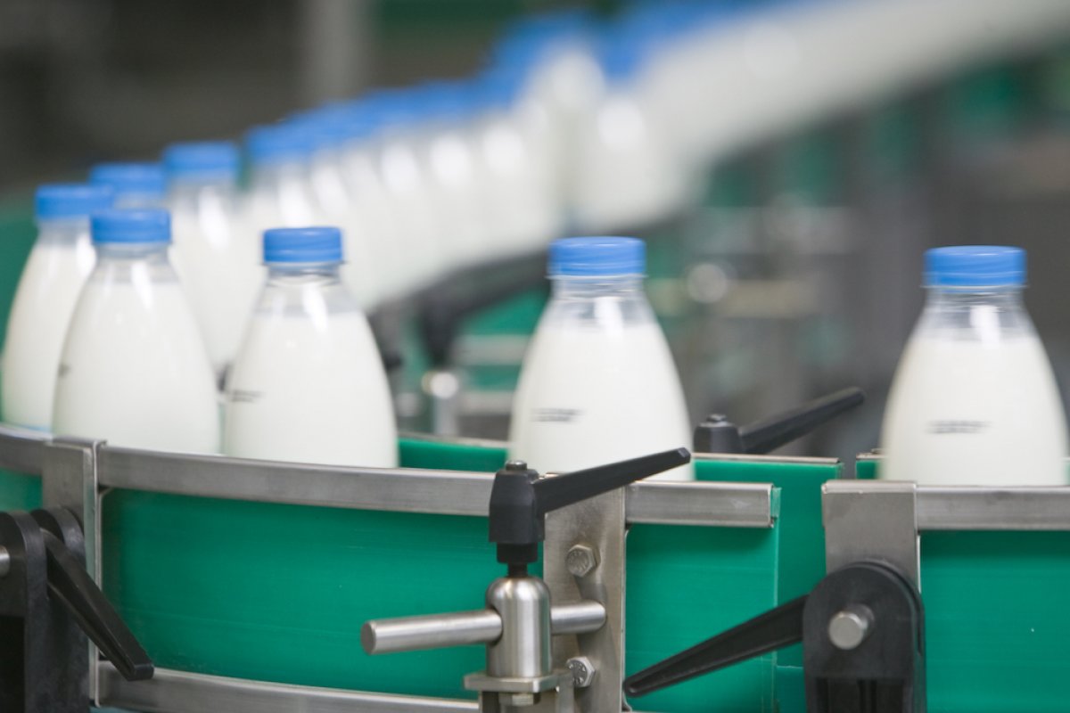 Implantação de uma nova Cooperativa de leite deve gerar investimento de mais de R$ 1 milhão na Bahia