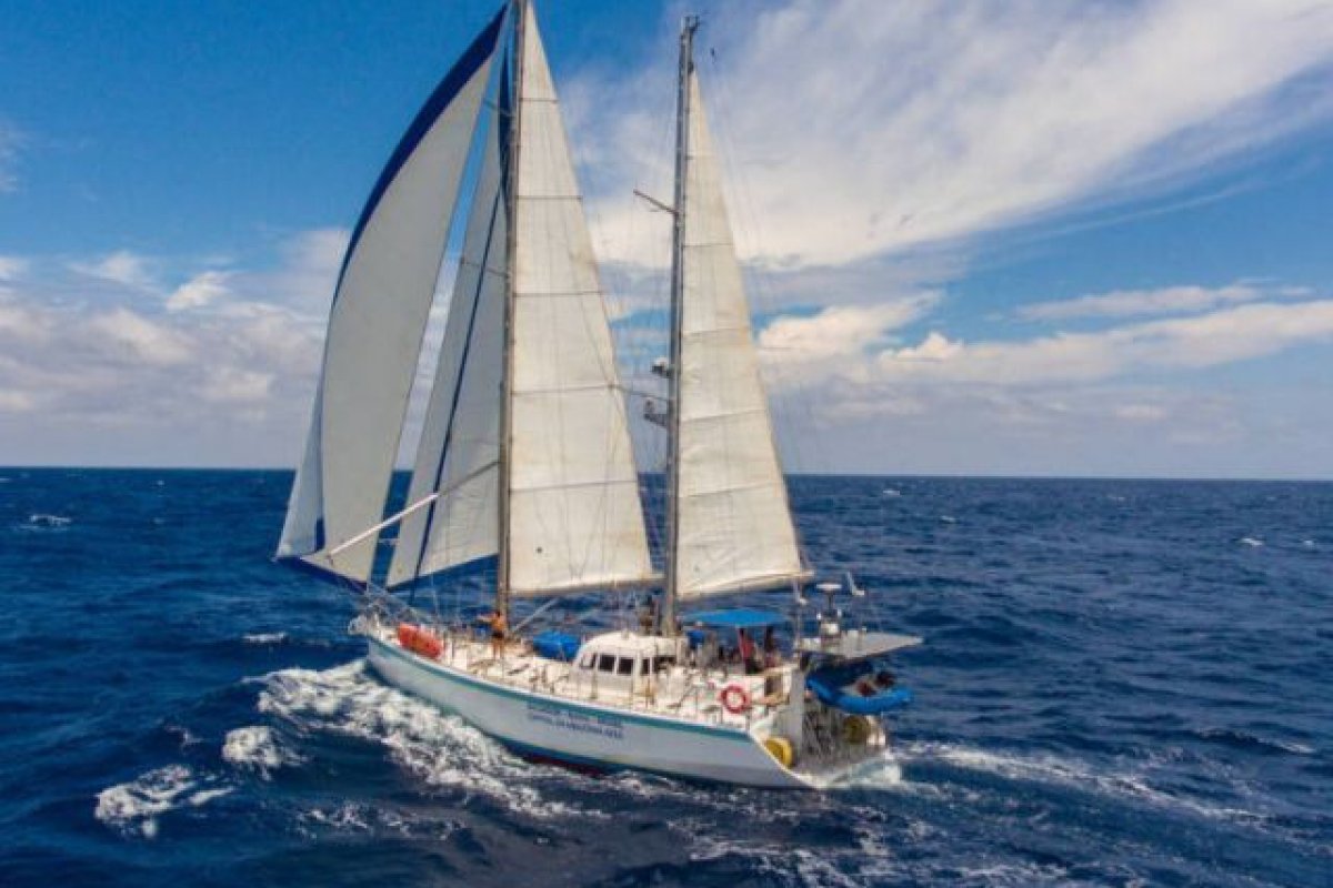 Veleiro baiano é o primeiro a atravessar perigosa passagem no Ártico saindo do Brasil