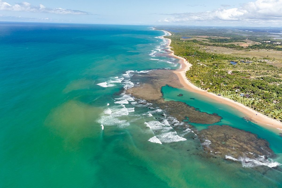 Fotógrafo de Amargosa lança oitavo livro nomeado “A Bahia Vista por um Passarinho”