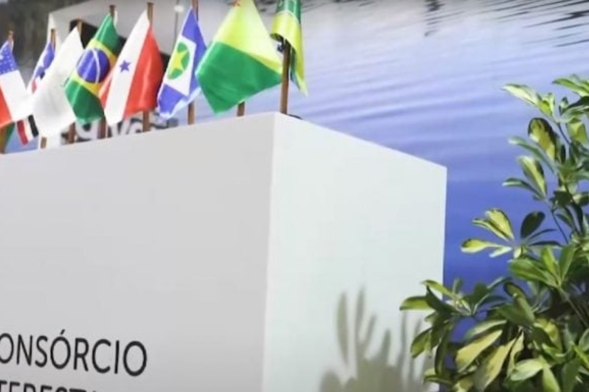 Com impasse em negociações, COP27 adia encerramento para sábado (19)