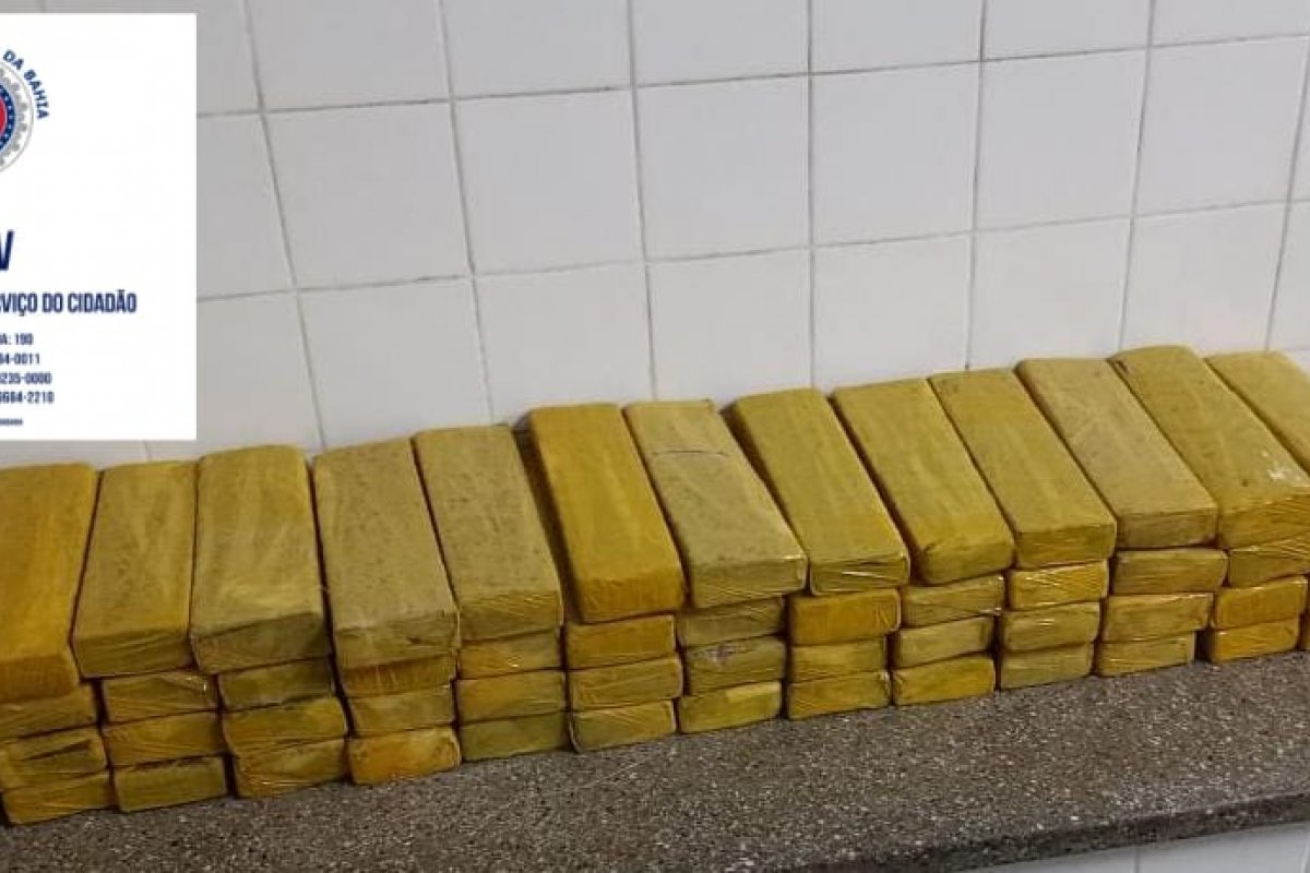 PM apreende mais de 50kg de maconha em Santo Amaro