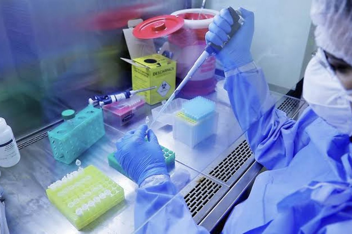 Gordura visceral contribui para agravamento da Covid-19, aponta experimento