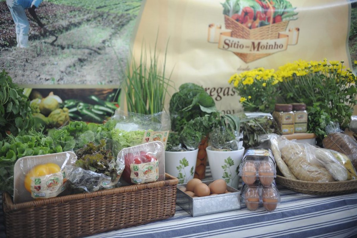 Fiocruz: pesquisa aponta panorama inédito dos bancos de alimentos do Brasil