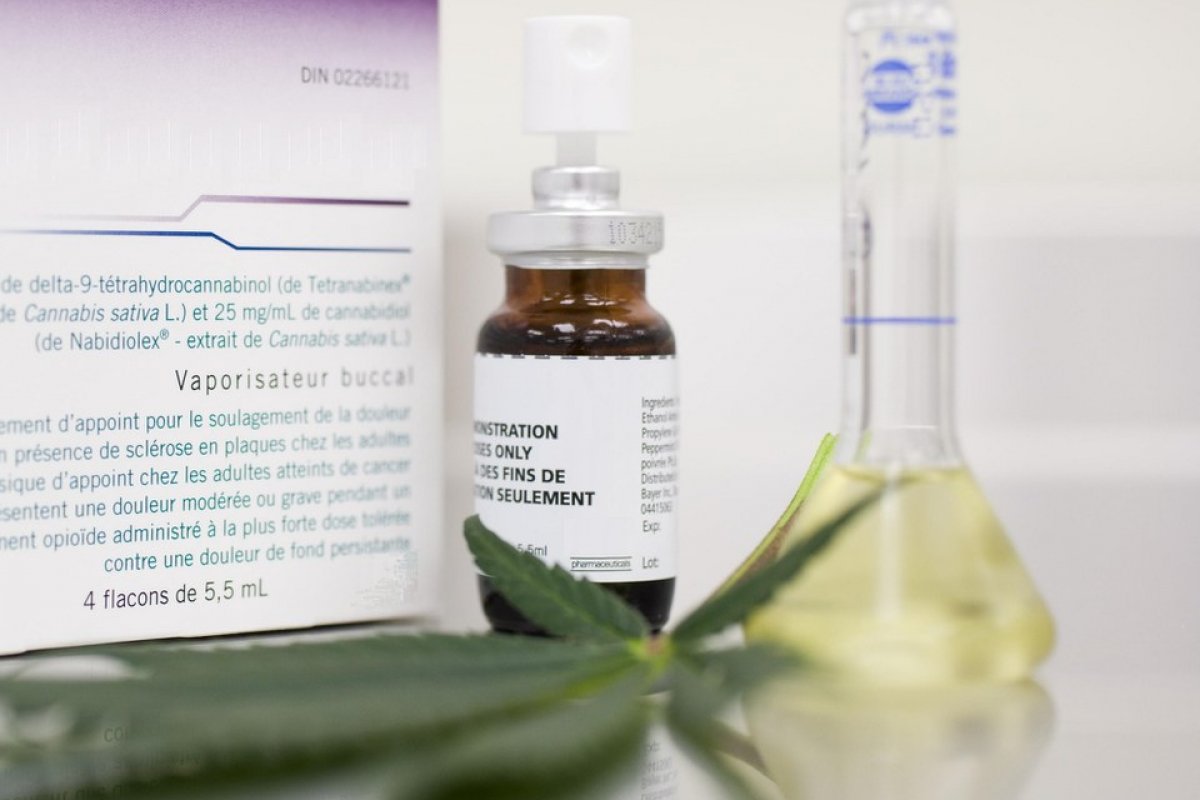 Aval da Anvisa para pesquisas com maconha pode acontecer em breve