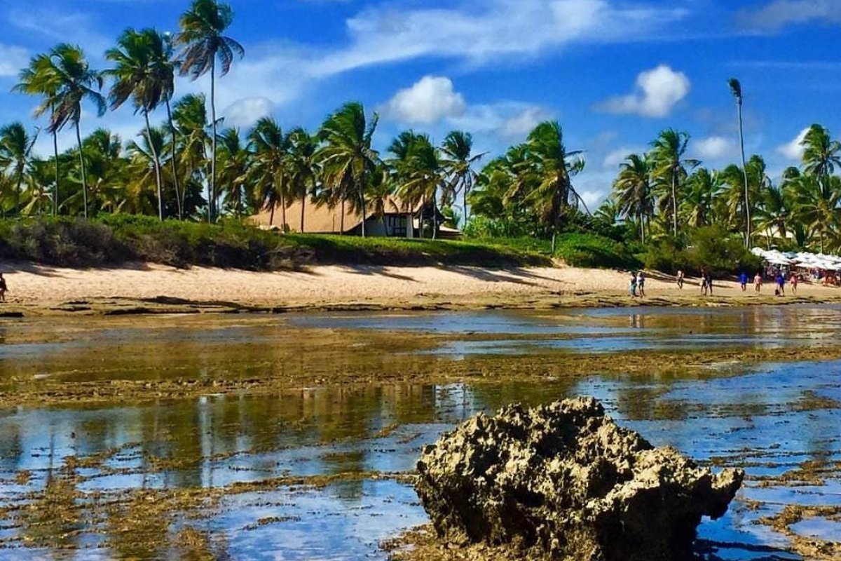 Em clima de Copa do Mundo, o XVI Tempero no Forte anuncia novo formato em 2022!