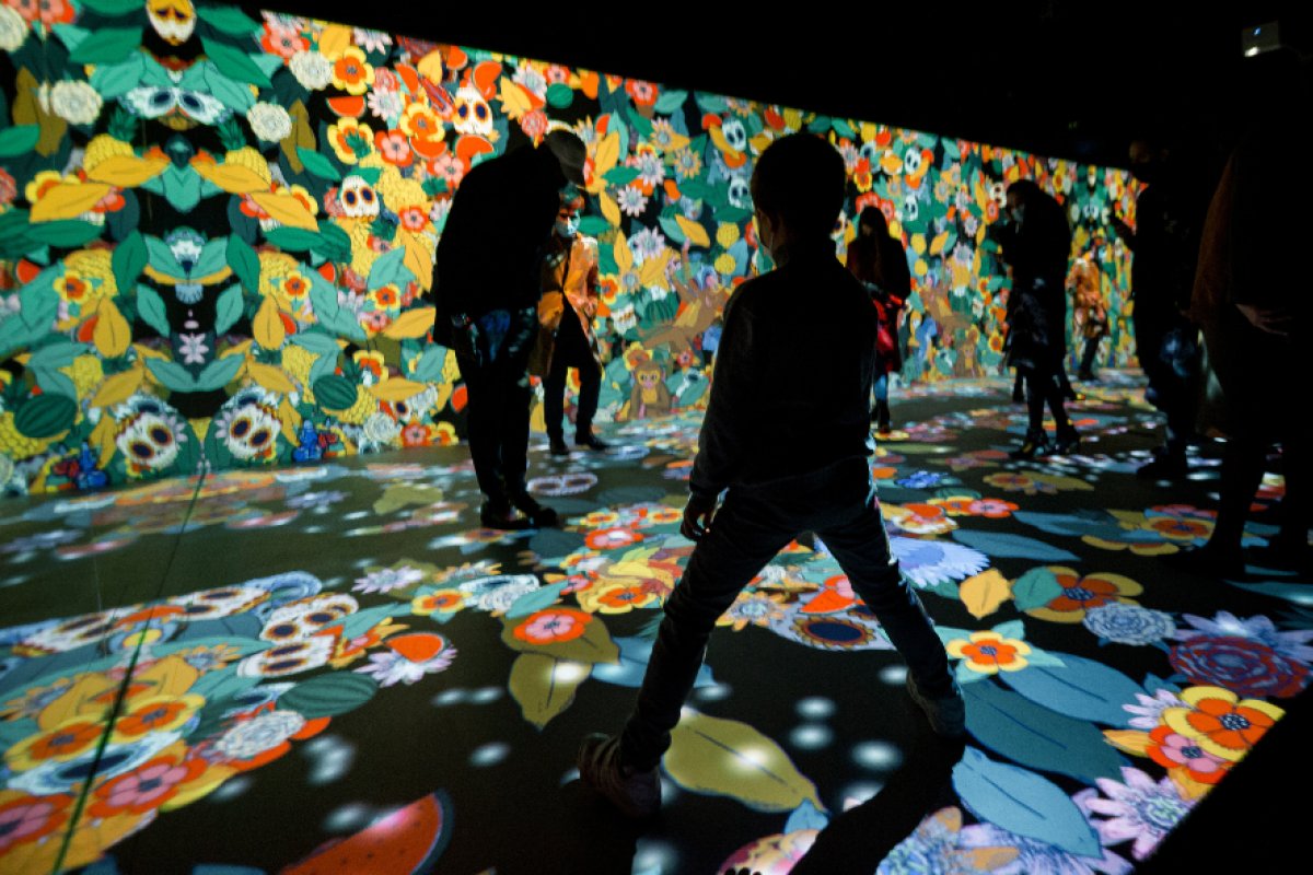 Exposição "Frida Kahlo - A Vida de um Ícone" é prorrogada até 14 de dezembro em Salvador