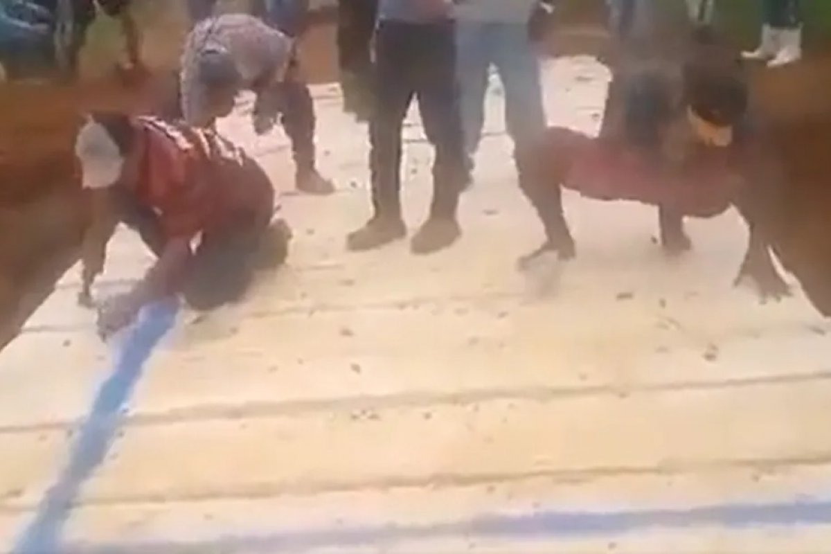 Vídeo: moradores de Itamaraju reconstroem ponte destruída por chuvas e pintam “L” em protesto ao prefeito