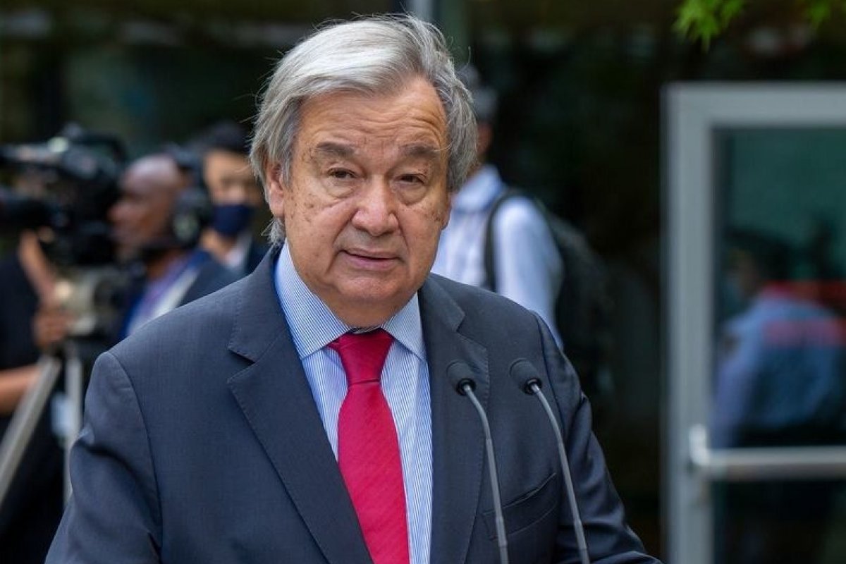 COP15: ONU busca acordo histórico para conter perda de biodiversidade