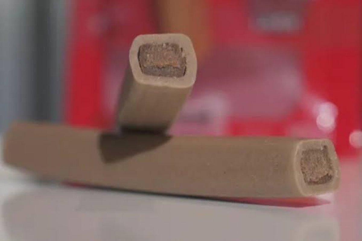 4 pessoas são indiciadas pela morte de 14 cães por intoxicação com petiscos