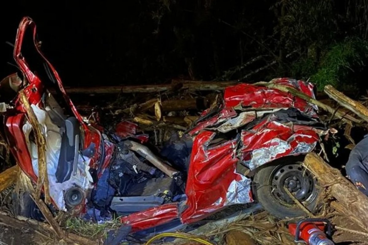 Toras de eucalipto caem de caminhão, atingem carros e deixam 5 pessoas mortas