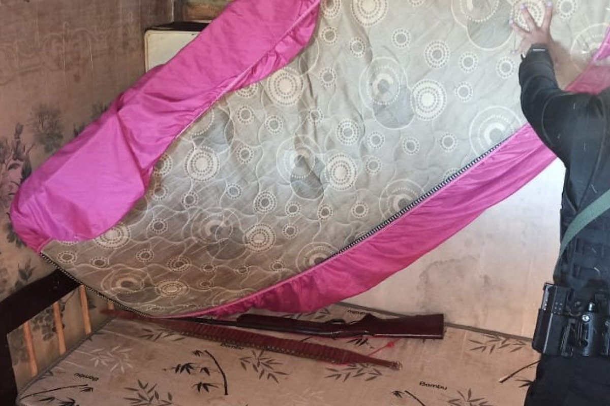 Vídeo: Polícia Federal realiza Operação Aranha Vermelha para combater tráfico no Oeste baiano