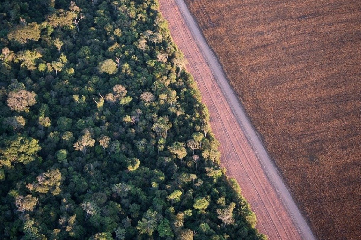 Brasil terá plataforma digital com dados sobre cobertura vegetal pela ótica do Código Florestal