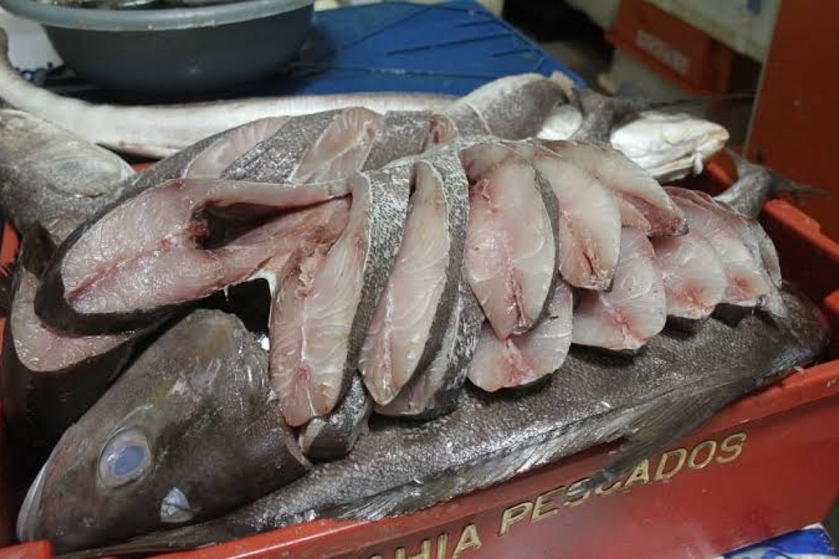 Pescado está próprio para consumo após contaminação por óleo na Bahia