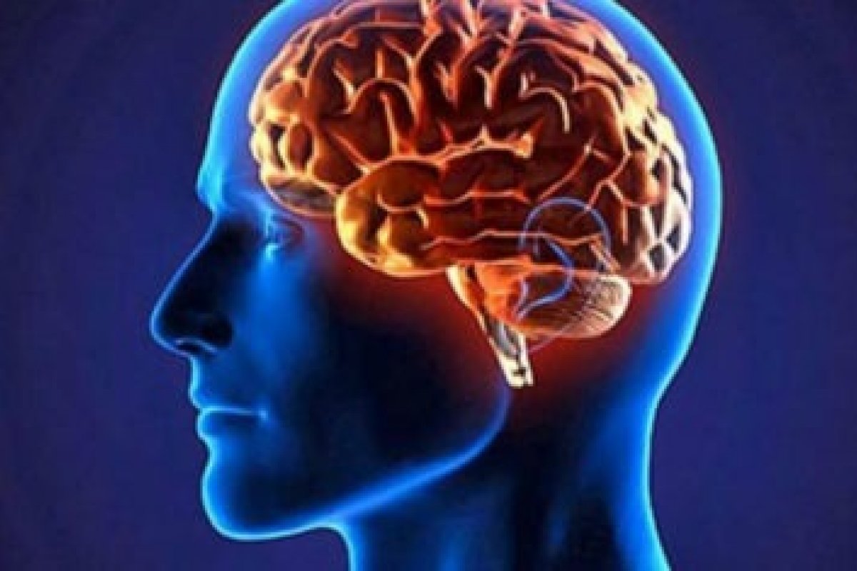 Estrutura cerebral lesionada por falta de vitamina B1 pode ser recuperada, diz Fiocruz