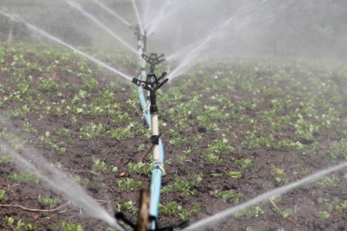 Municípios de Xique-Xique e Itaguaçu recebe produtores em polo de irrigação na Bahia