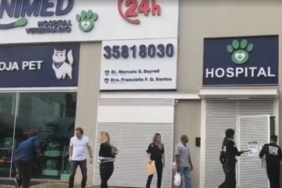 Clínica veterinária é investigada por maus-tratos e congelamento de animais