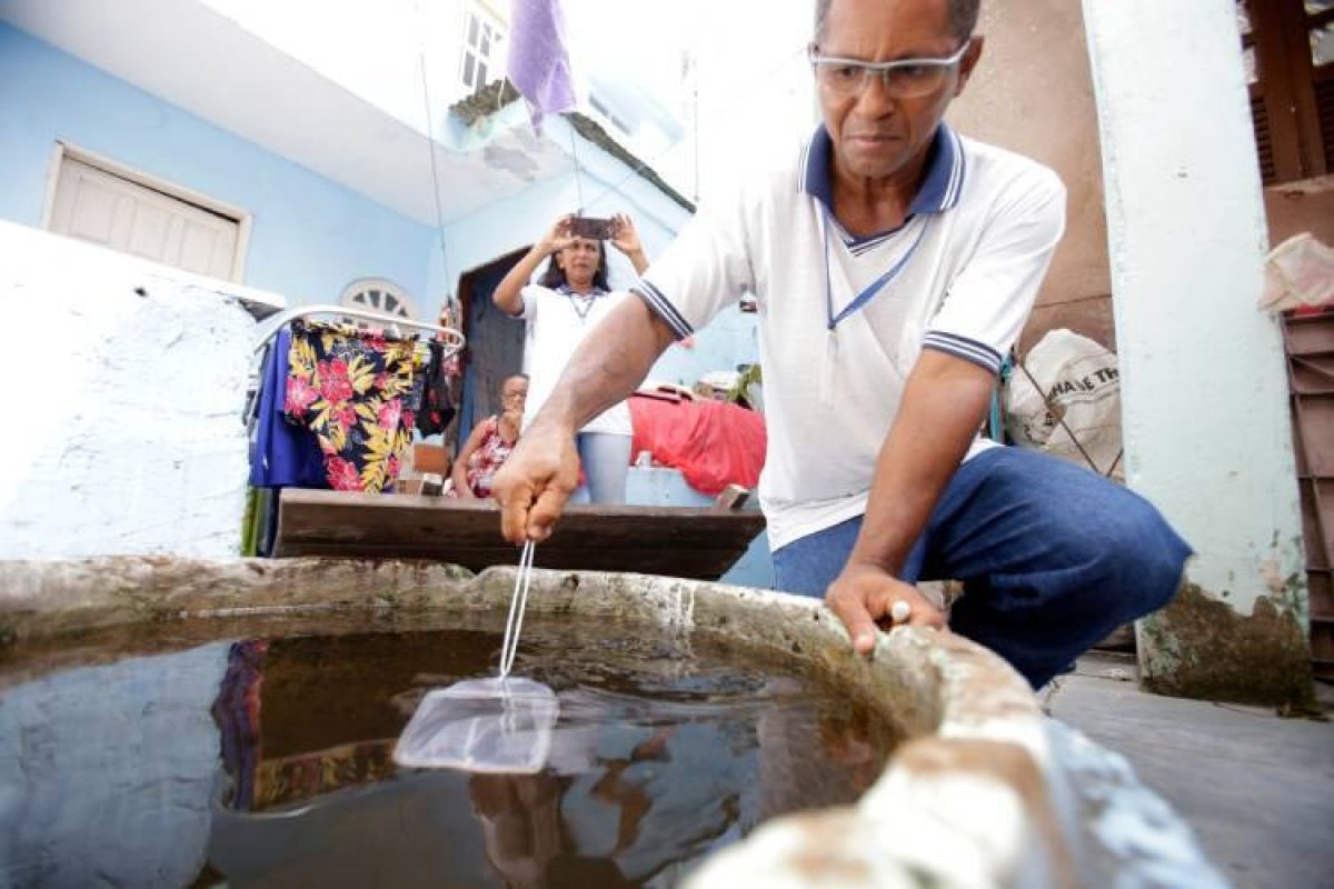 Temperaturas mais altas acendem alerta para aumento nos casos de dengue