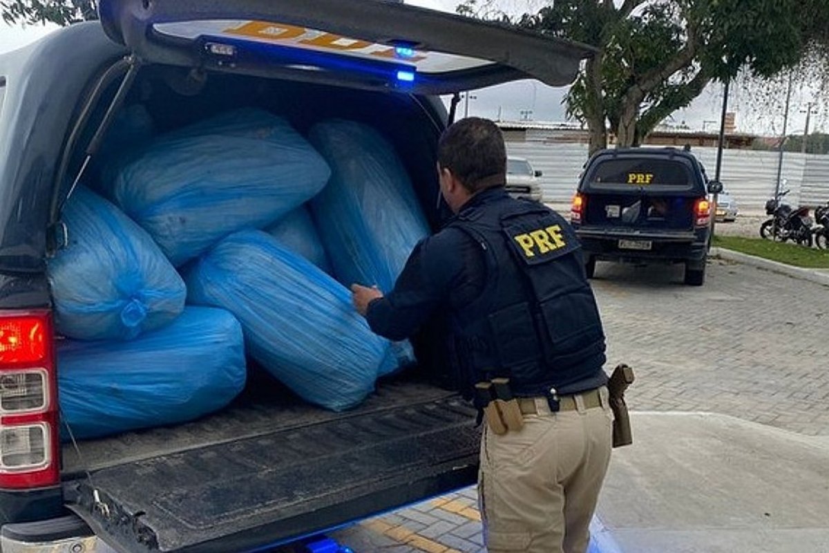 PRF apreende 167 kg de maconha dentro de carro em Feira de Santana