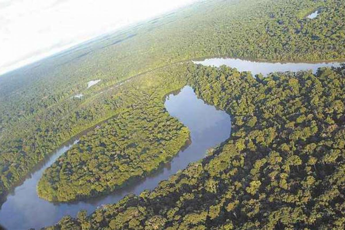 Economistas e ecólogos tentam calcular o valor monetário da Amazônia brasileira