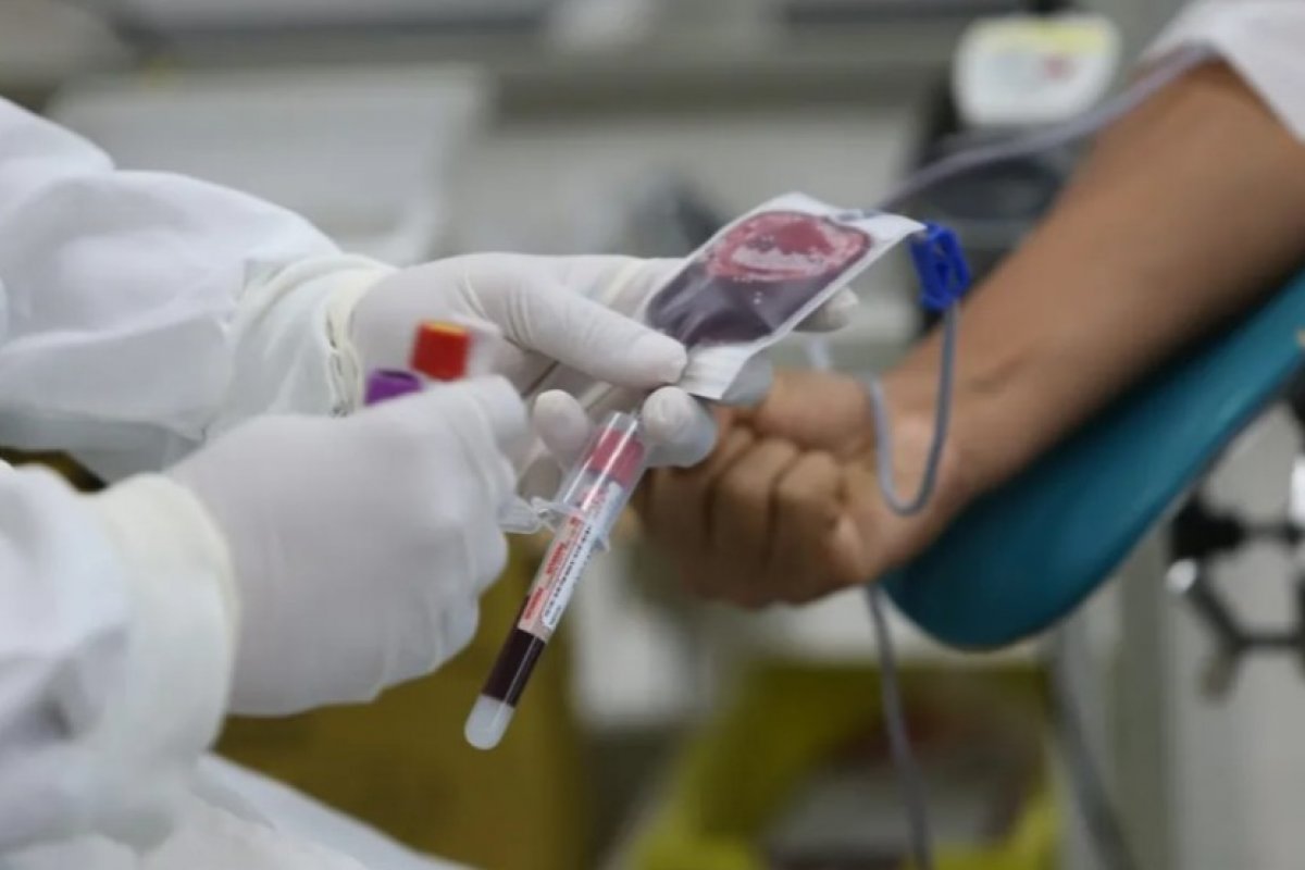 Hemoba promove campanha de Natal para incentivar doação de sangue na Bahia