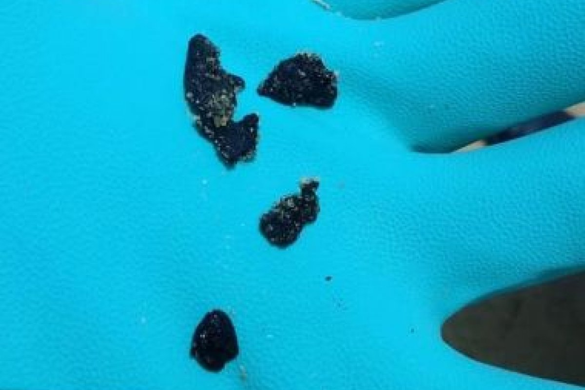 Fragmentos de óleo chegam no Rio de Janeiro