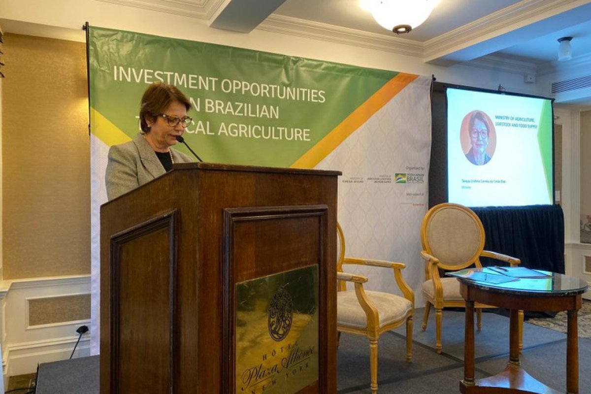 Em Nova Iorque, Brasil assina acordo de emissão de títulos verdes