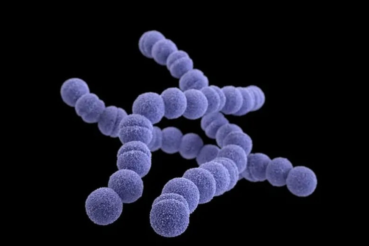 Cinco crianças morreram na Inglaterra infectadas pela bactéria "Strep A"