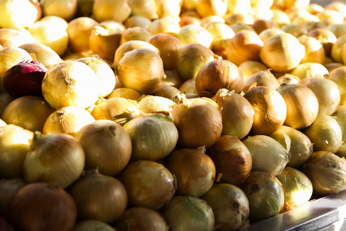Preço da cebola cresceu 166% entre janeiro e metade de dezembro de 2022, diz IBGE