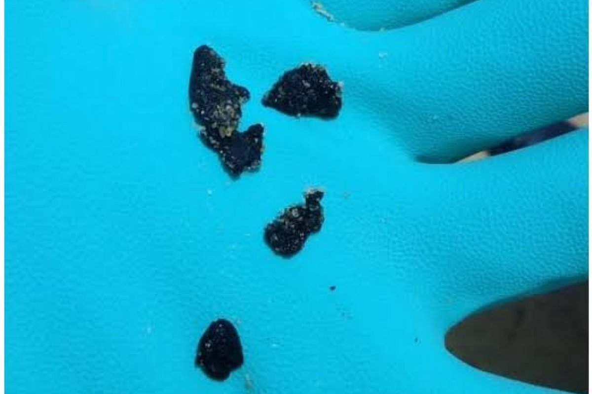 Óleo chega em mais três praias do Rio de Janeiro