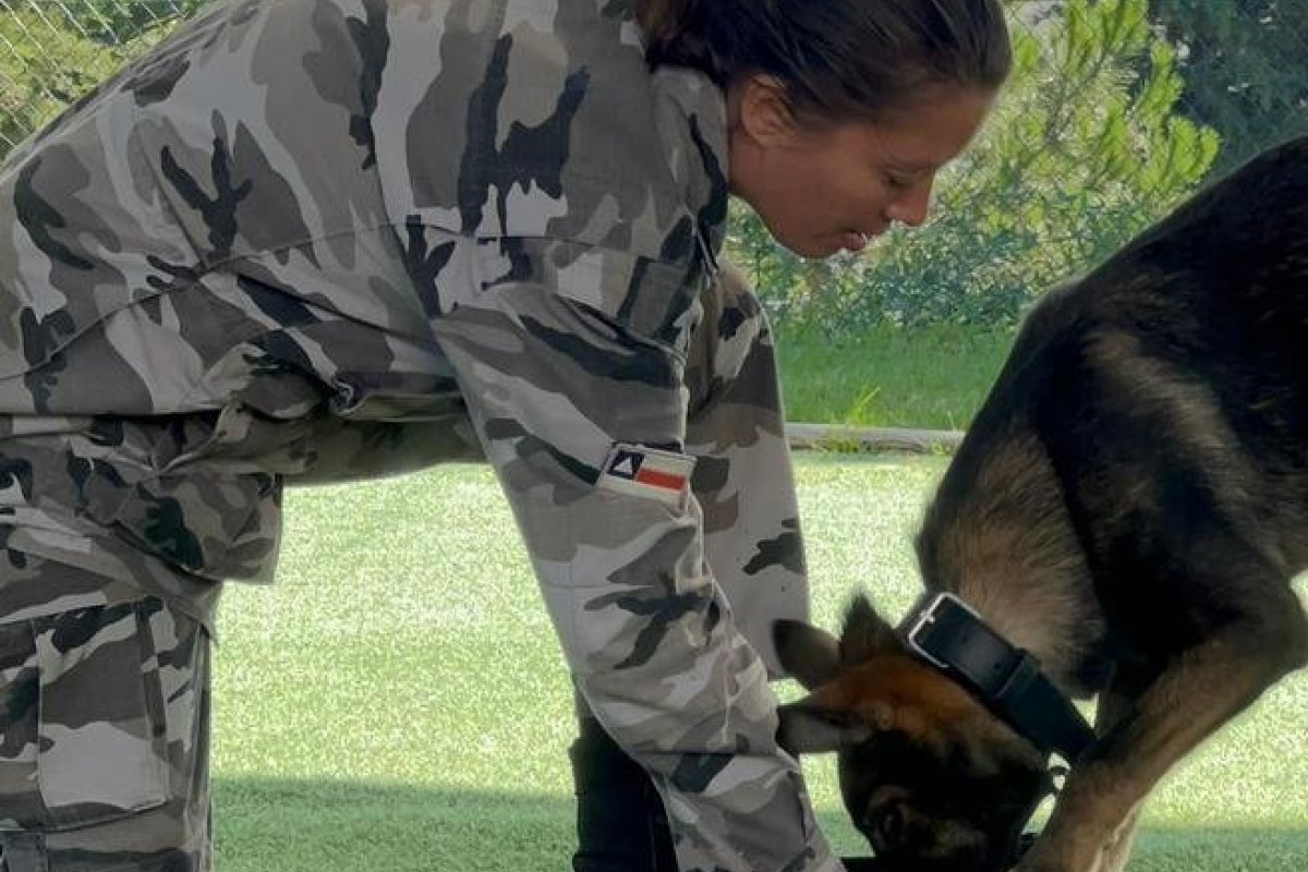 PM baiana é primeira brasileira a participar do curso de adestramento de cães em Portugal