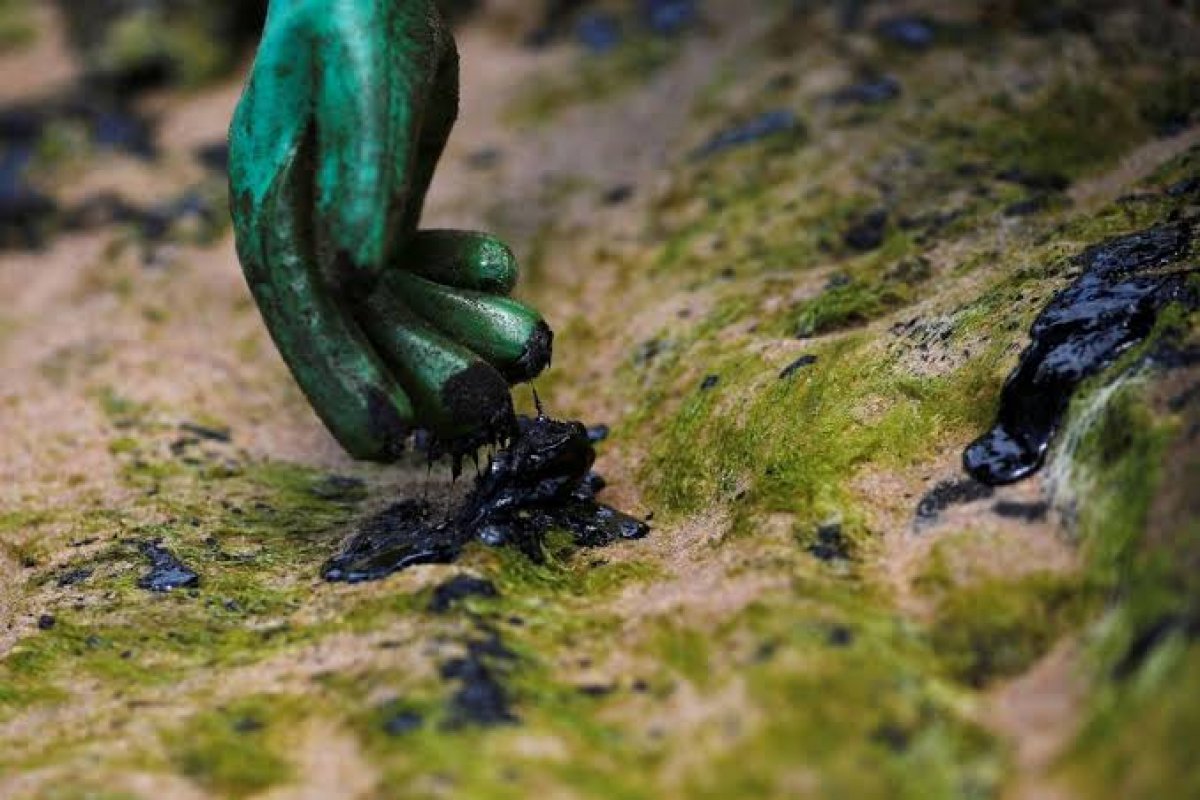 Amostras de óleo de três municípios do Rio são enviadas para análise